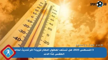 3 أغسطس 2025: هل تستعد لهطول أمطار غزيرة؟ آخر تحديث لحالة الطقس غدًا الأحد